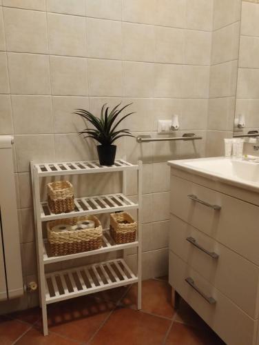 a bathroom with a plant on a shelf next to a sink at Residenze Ponte in Ponte