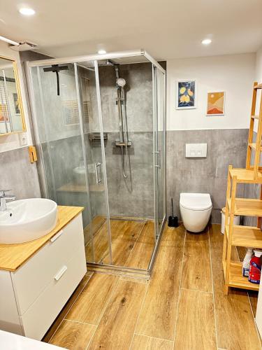 a bathroom with a shower and a toilet and a sink at Altstadt Appartement in Ingolstadt