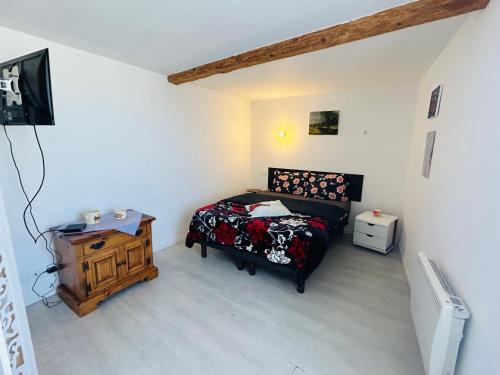 a bedroom with a bed and a television in it at Maisonnette La Chouette in Azille