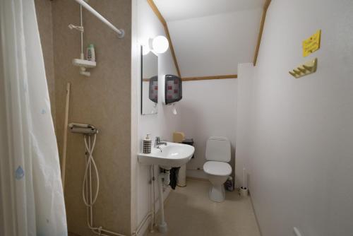a small bathroom with a sink and a toilet at Öje Vandrarhem & Turistgård in Östra Öje
