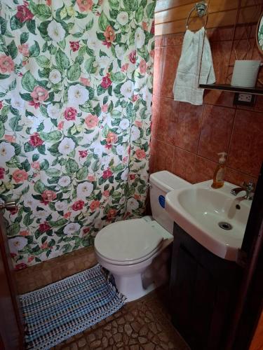 a bathroom with a toilet and a sink at Las Bromelias Lodge in Paso Macho