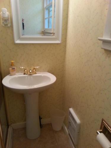 a bathroom with a sink and a mirror at Arrowmont Stables & Cabins in Cullowhee