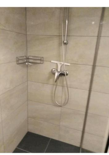 a shower with a shower head in a bathroom at Lovely chalet in Alps in Bad Kleinkirchheim