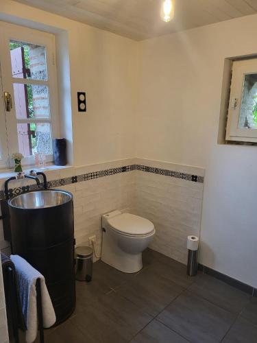 a bathroom with a toilet and a sink at Domaine de Bertranet - Chambres D'Hôtes in Tonneins