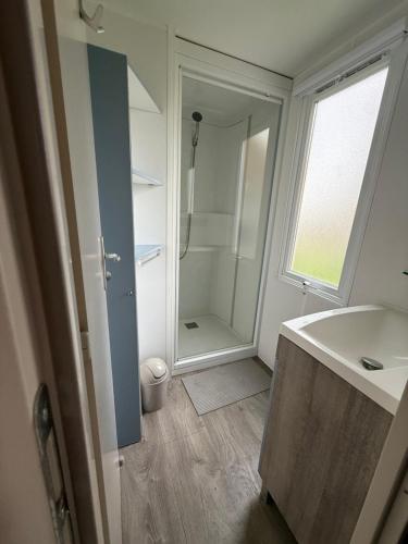 a bathroom with a shower and a white sink at Chez Maxime - E33 - Clim TV Lave-vaisselle - Proche Europa Park et Rulantica in Boofzheim