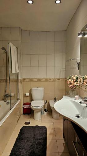 a bathroom with a toilet and a sink and a tub at Rooms São Dinis in Porto