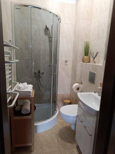 a bathroom with a shower and a toilet and a sink at JULA Pokoje Blisko Plaży, Dąbki in Dąbki