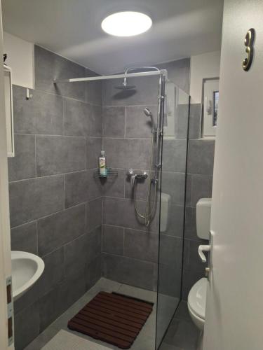 a bathroom with a shower with a sink and a toilet at IN Kala in Rijeka