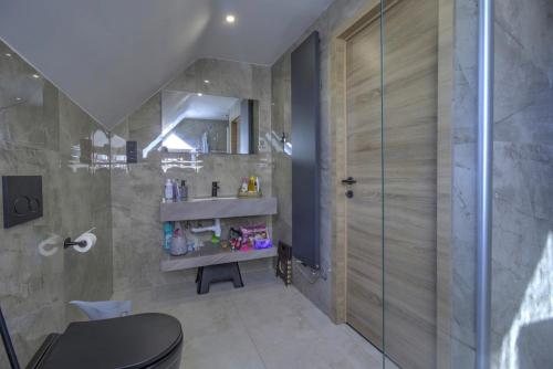 a bathroom with a shower and a toilet and a sink at Villa 2 chambres in Trooz