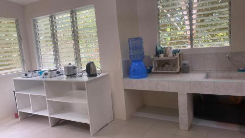 a kitchen with a counter and a sink and windows at Casa Fleur in Cangalwang