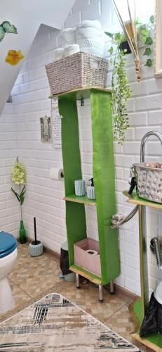 a green shelf in a bathroom with a sink at Pensiunea Floarea Dornei in Şarul Dornei