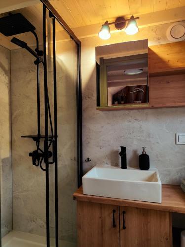 a bathroom with a sink and a shower at Dauny House - Dein Tiny House Erlebnis in der Vulkaneifel in Daun