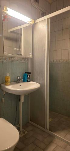 a bathroom with a sink and a shower at Pankkikallio 16 in Sorsakoski