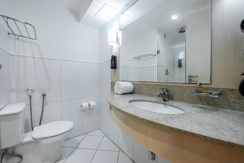 a bathroom with a sink and a toilet and a mirror at Ibis Styles Macaé in Macaé