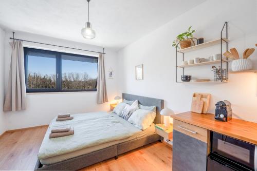 a bedroom with a bed and a window at Studio Arnoštka in Vimperk