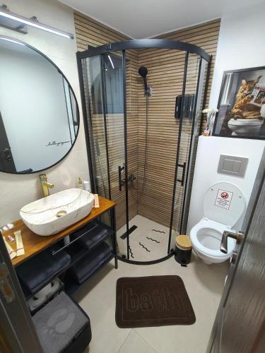 a bathroom with a shower and a sink and a toilet at Cozy Box in Agapia