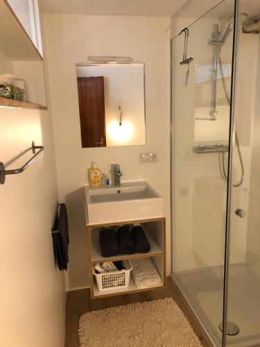 a bathroom with a sink and a shower at Ferienhaus Mätzler in Schwarzenberg