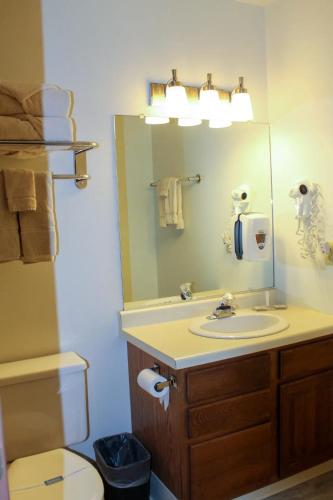 a bathroom with a sink and a mirror and a toilet at Forrest Inn in Amery