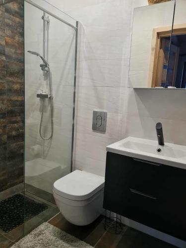 a bathroom with a shower and a toilet and a sink at U Borowiczów in Białka Tatrzańska