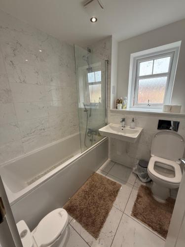 a bathroom with a toilet and a sink and a shower at Dzingai Home in Newport