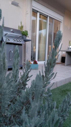 a bush in front of a house with a stove at S&M Cozy Garden Lagonissi in Lagonissi