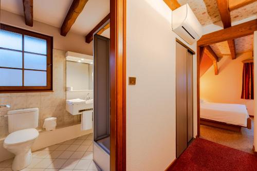 Scharrachbergheim IrmstettにあるHotel et Spa du Scharrachのトイレと洗面台のある浴室
