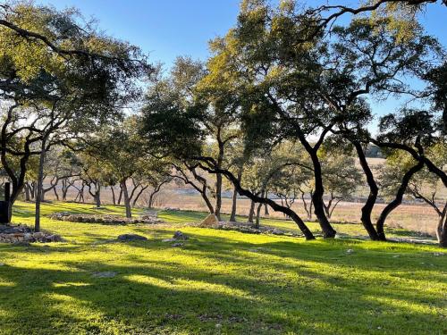 a group of trees in a field with green grass at Millies Cottages Unit 3 - Phyllis in Canyon Lake