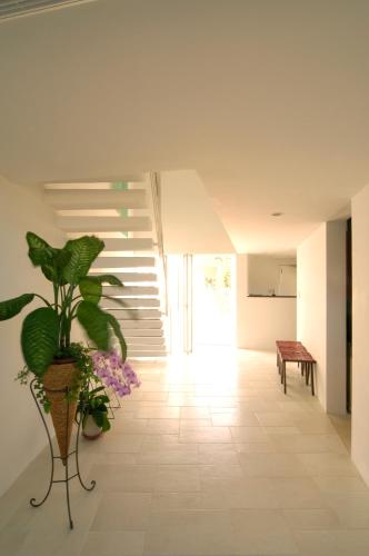 a hallway with a potted plant on the floor at Private Resort Hotel RENN in Miyako Island