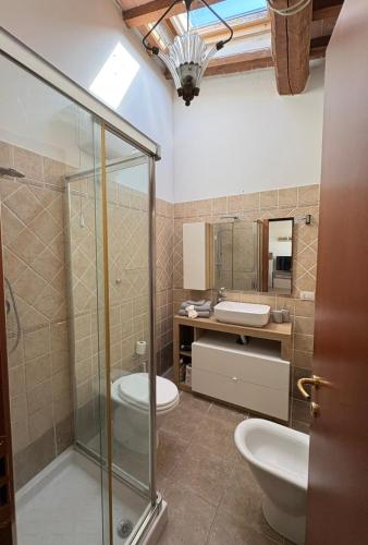 a bathroom with a shower and a toilet and a sink at Mary's House in Guardistallo
