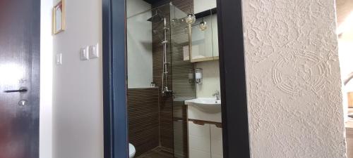a bathroom with a shower and a sink at Pearl's apartments Old town Ohrid in Ohrid