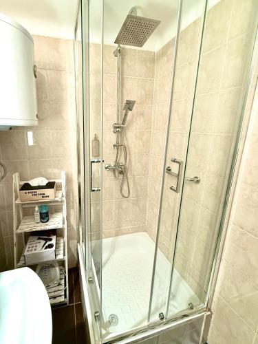 a shower with a glass door in a bathroom at Kuća za odmor Banja Koviljača in Banja Koviljača