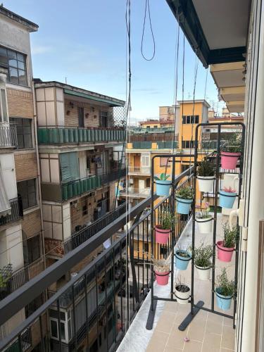 SOCCAVO - Casa Epomeo 63 Design Loft