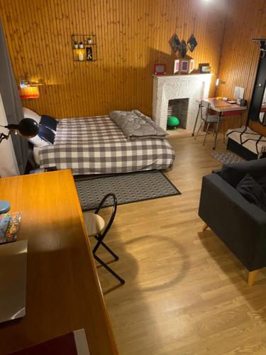 a living room with a bed and a fireplace at Studio vintage in Parthenay