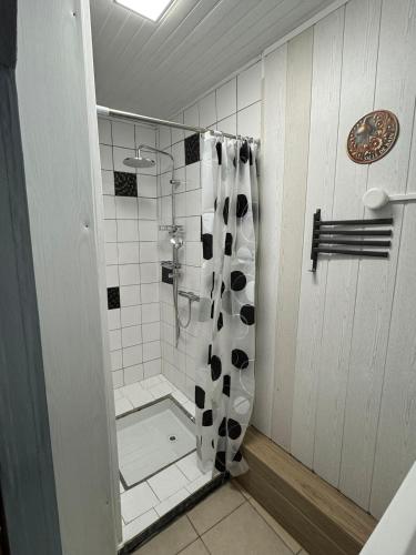 a shower with a black and white shower curtain in a bathroom at Gite la fontaine dargent in Aisy-sur-Armançon