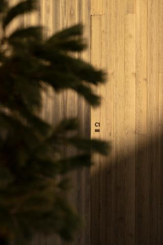 a blurry picture of a tree in front of a wooden wall at Larch House in Whitefish