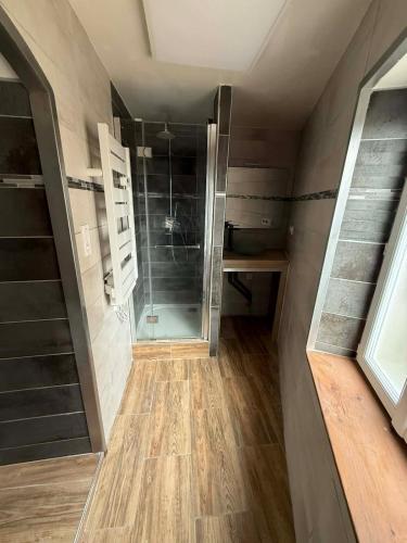 a bathroom with a walk in shower and a glass door at Appart' Val 2 in Beaumont
