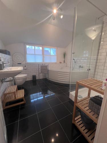 a bathroom with a shower and a toilet and a sink at Ferienhaus Prerow an der Stems in Prerow