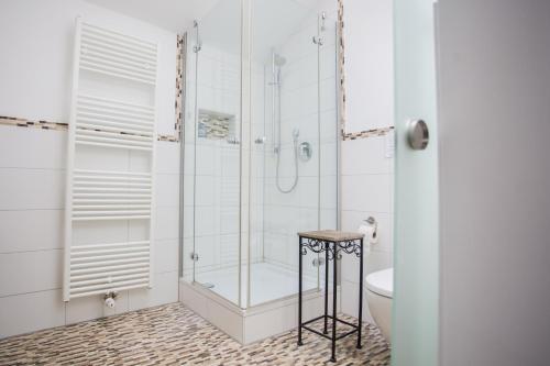 a bathroom with a shower and a toilet and a sink at Altstadtloft am Kaulberg in Bamberg