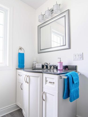 a bathroom with a sink and a mirror at Apartment in Prince Edward County - 'Suite Spot' in Picton