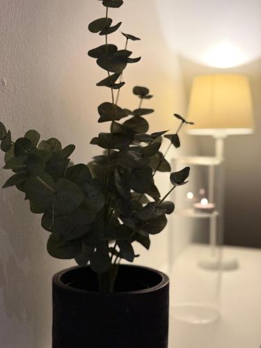 a plant in a black vase sitting on a table at Cozy apartment in Kungsbacka
