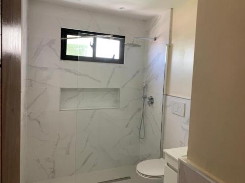 a bathroom with a shower with a toilet and a window at Condominio cortico in Mendoza