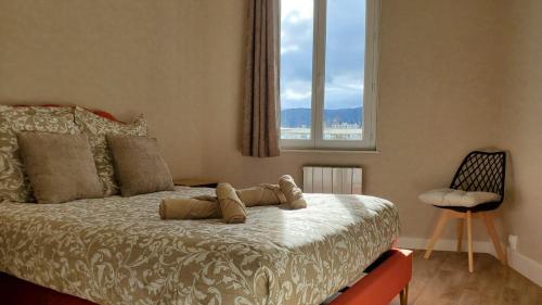 a bedroom with a large bed with a window at Charmant T2 Spacieux idéalement situé - 2 chambres in Clermont-Ferrand
