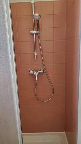 a shower with a shower head and a tub at Charmant T2 Spacieux idéalement situé - 2 chambres in Clermont-Ferrand