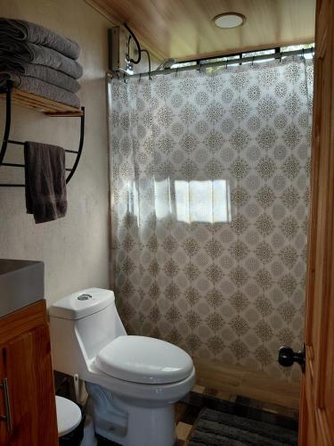 a bathroom with a toilet and a shower curtain at Villa Lago del Sol in El Castillo de La Fortuna