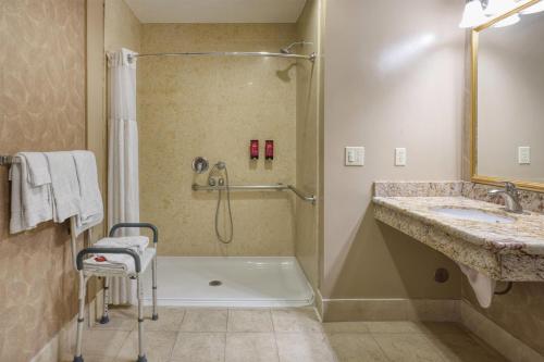 a bathroom with a shower and a tub and a sink at SureStay Plus Hotel by Best Western Mountain View in Mountain View