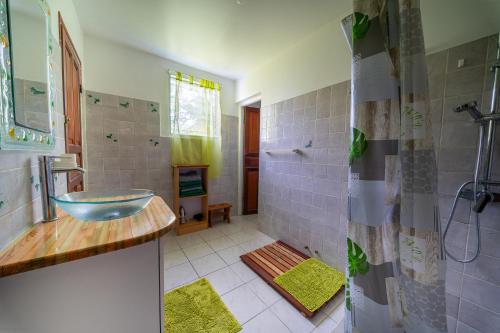 a bathroom with a sink and a shower at KazAKaty in Trois-Rivières