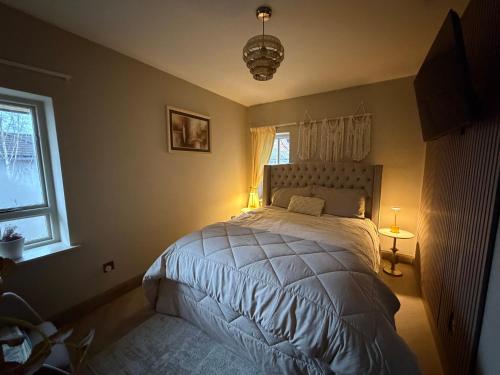 a bedroom with a bed and a window at Cosy apartment in heart of Cork City in Cork