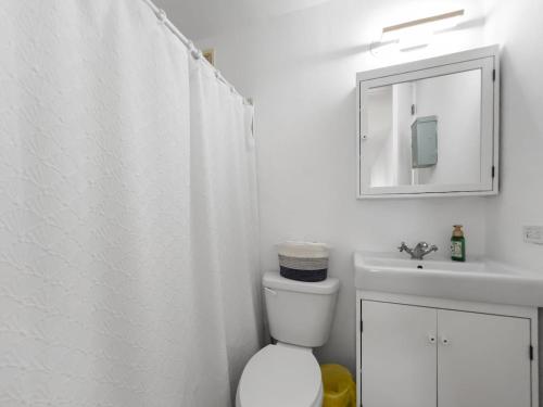 a bathroom with a toilet and a sink and a mirror at Haudimar Beach Apt Ocean Front With Parking in San Antonio