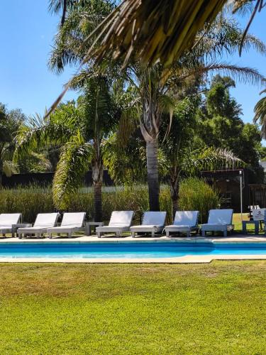 a row of lounge chairs next to a swimming pool at Complejo Aquiles in Lobos