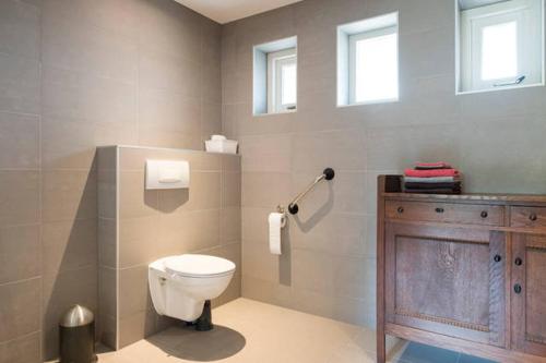 ein Badezimmer mit einem WC und einem Waschbecken sowie zwei Fenster in der Unterkunft Achterhuis Hamingen in Staphorst